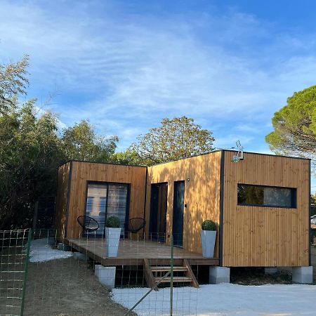 Chalet Contemporain Montauban Eksteriør bilde